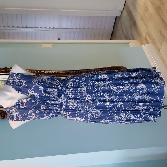 DR2 Dresses & Skirts - DR2 Blue Paisley Sleeveless Dress